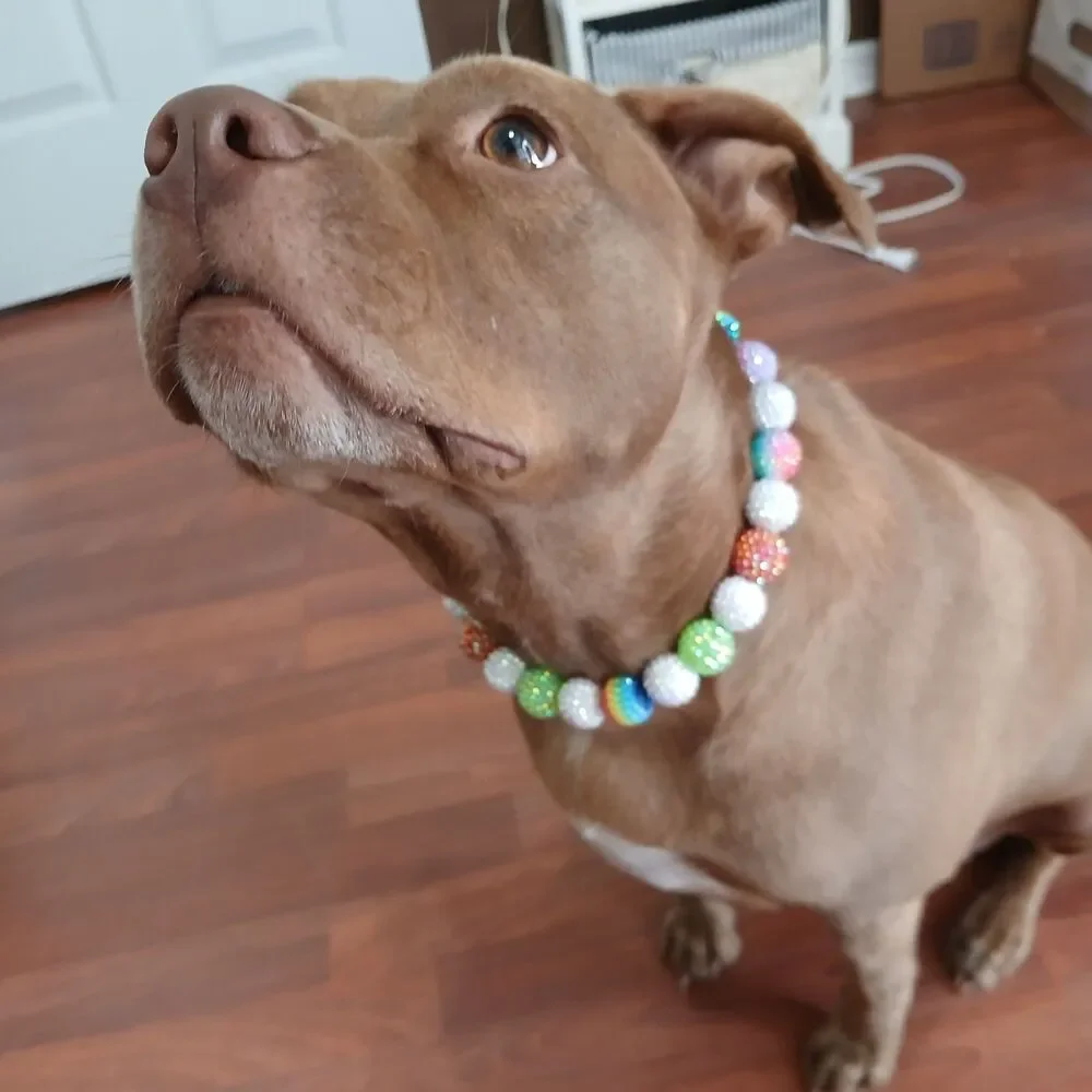 Handmade Sparkly Gypsy Beaded Dog Puppy Collar Necklace Jewelry Durable 17.5